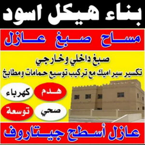 هيكل اسود