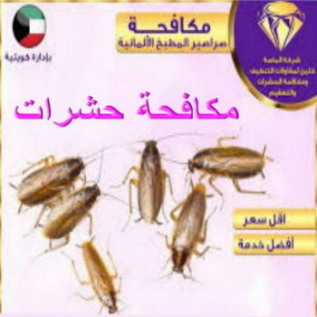 شركة مكافحة حشرات - تنظيف بالكويت📞66991461 - مكافحة حشرات الكويت - مكافحة حشرات - رقم مكافحة حشرات - مكافحة حشرات وقوارض - رش حشرات - مكافحة حشرة - مكافحة حشرات رخيصة