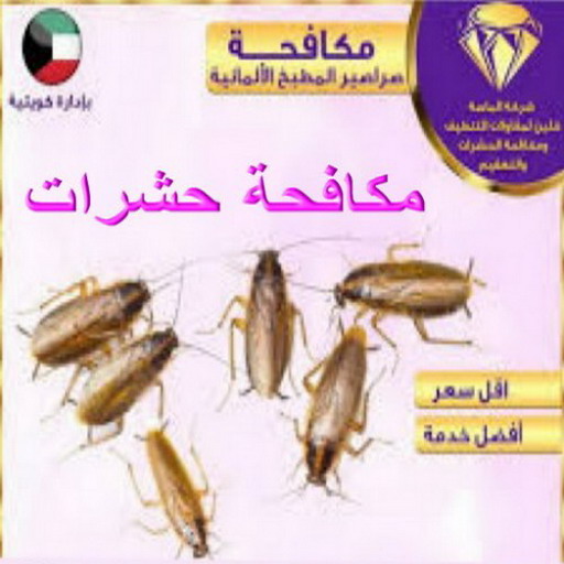 مكافحة حشرات - رقم مكافحة حشرات - بالكويت📞66991461 - مكافحة حشرات الكويت - مكافحة حشرات رخيص - شركة مكافحة حشرات - مكافحة حشرات وقوارض