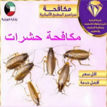 شركة مكافحة حشرات - بالكويت📞50464050 - مكافحة حشرات الكويت - مكافحة حشرات - رقم مكافحة حشرات - مكافحة حشرات وقوارض - رش حشرات - مكافحة حشرة - مكافحة حشرات رخيصة