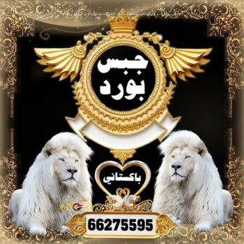 جبس - جبس بورد - جبسم بورد - مظهر باكستانى 66275595 - معلم جبس - معلم جبسم بورد - ديكور جبس - ديكورات جبس - جبسون بورد - جبس بورد باكستاني - اسقف جبس بورد